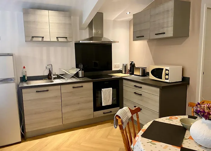 Au Pays Basque-vue Montagne 公寓 *